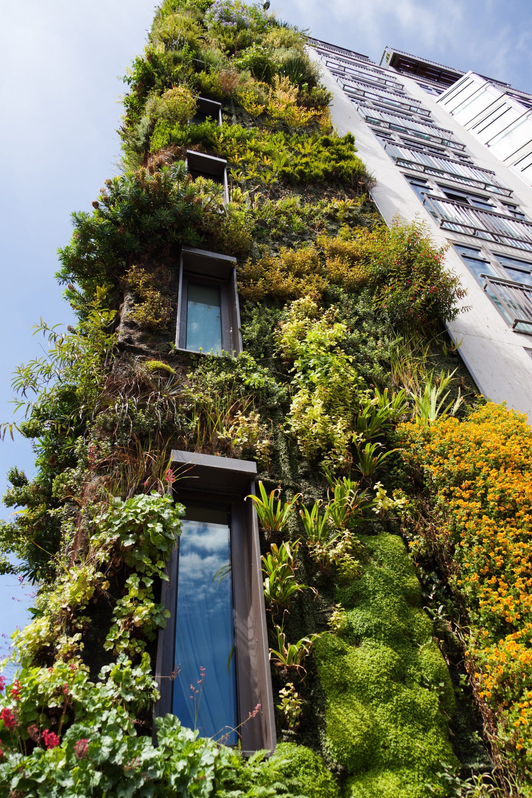 Living Green Wall Architecture-21702