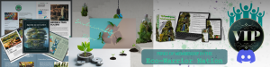 UpRooted Greens Copyright 2023 The Mind of Chaos Opened & The Abyss Came Pouring Out LLC