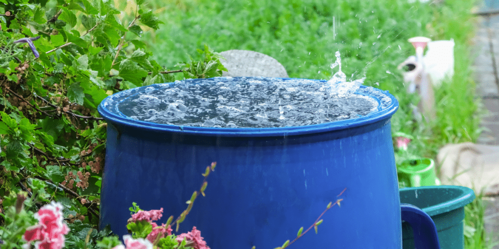 Harnessing Nature's Gift - The Power of Rainwater Harvesting - UpRooted ...